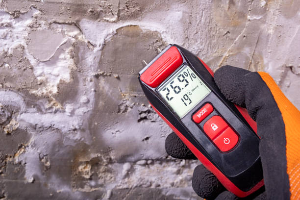 Best Crawl Space Mold Removal  in Maan, ND