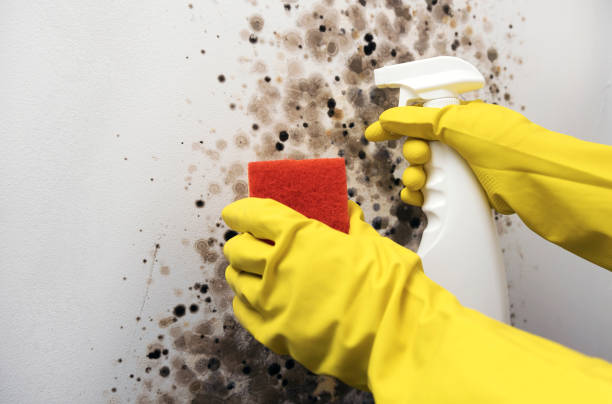 Water Damage Restoration in Mandan, ND